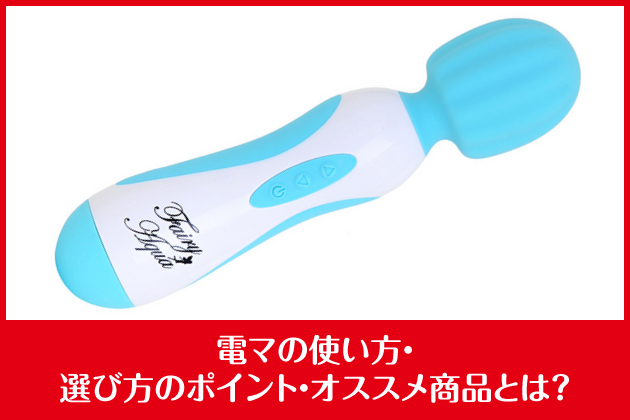 �d�}�̎g�����E�I�ѕ��̃|�C���g�E�I�X�X�����i�Ƃ́H